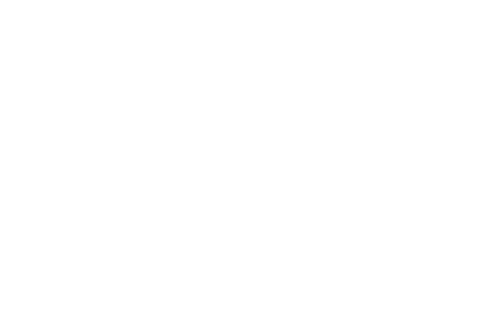 SalsaFlow